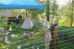 pettingzoosandy-1.png-nggid0232-ngg0dyn-260x0-00f0w010c010r110f110r010t010