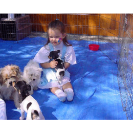 puppyparty-1