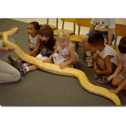 reptilepartypython-1