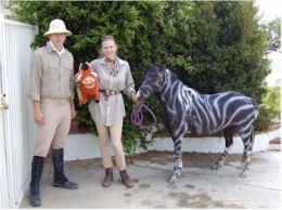 zebra-1