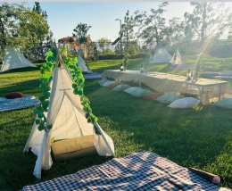 camp-theme-1