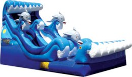 slide-wet-dolphin-bay-climber-wide-slide-rosie-37-x-16-1