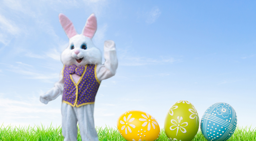 new-easter-bunny